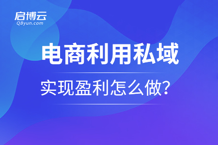 電商利用私域?qū)崿F(xiàn)盈利應(yīng)該怎么做？