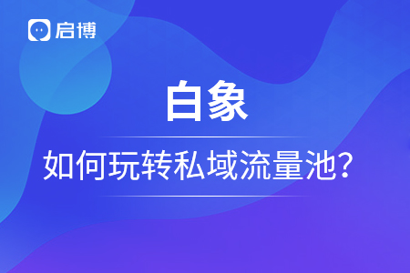 單月120w+銷售額，白象如何玩轉私域流量池？